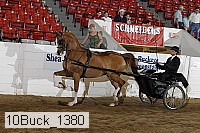 10buck_1380 proof