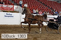 10buck_1383 proof
