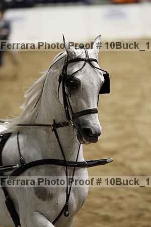 Proof 10buck_1384