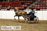 10buck_1385 proof