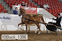 10buck_1386 proof