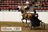 10buck_1387 proof