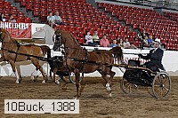 10buck_1388 proof