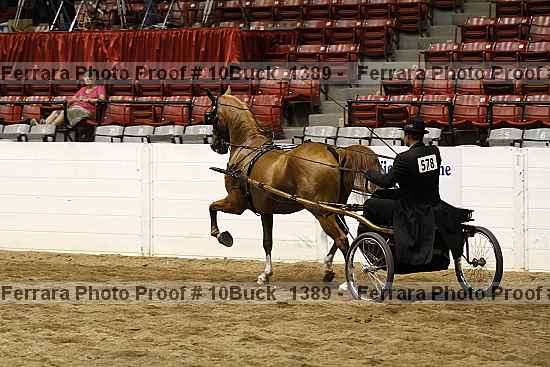 Proof 10buck_1389