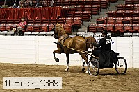 10buck_1389 proof