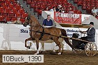 10buck_1390 proof