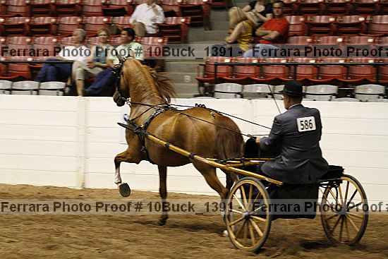 Proof 10buck_1391