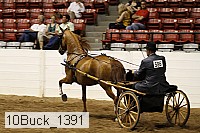 10buck_1391 proof