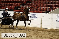 10buck_1392 proof