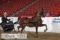 10buck_1393 proof