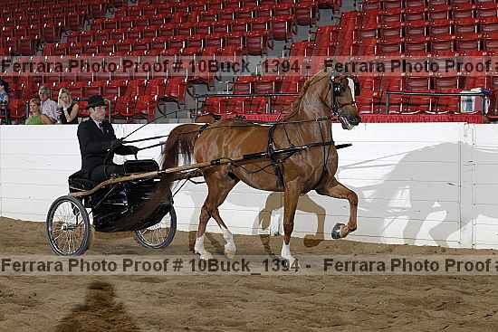Proof 10buck_1394
