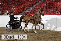 10buck_1394 proof