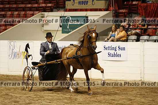 Proof 10buck_1395