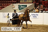 10buck_1395 proof