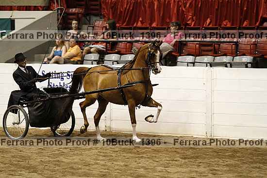 Proof 10buck_1396