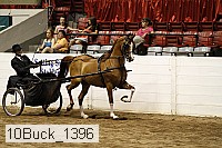 10buck_1396 proof