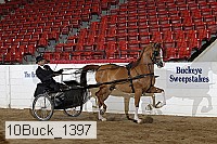 10buck_1397 proof