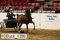 10buck_1398 proof