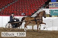 10buck_1399 proof