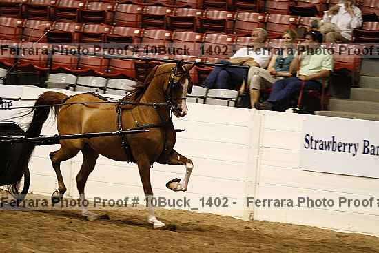 Proof 10buck_1402