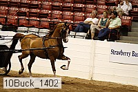 10buck_1402 proof