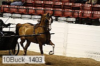 10buck_1403 proof