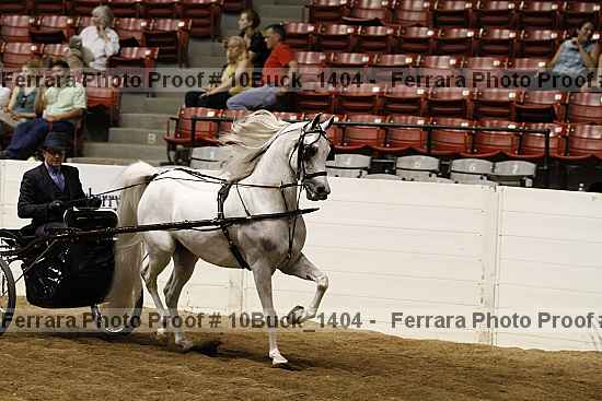 Proof 10buck_1404