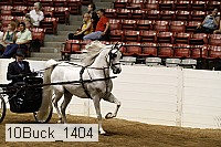 10buck_1404 proof