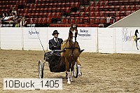 10buck_1405 proof