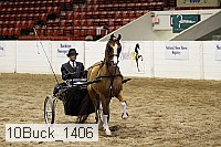 10buck_1406 proof