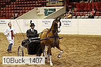 10buck_1407 proof