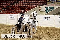10buck_1408 proof