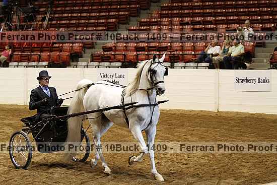 Proof 10buck_1409