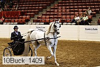 10buck_1409 proof