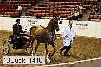 10buck_1410 proof