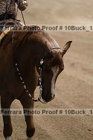 Proof 10buck_1417
