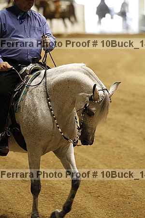 Proof 10buck_1422