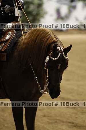 Proof 10buck_1426