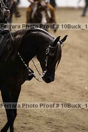 Proof 10buck_1450