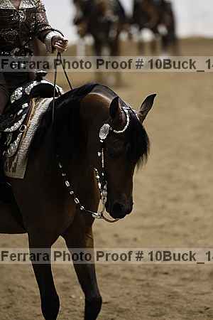 Proof 10buck_1469