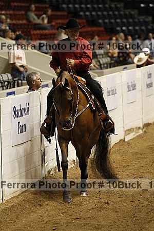 Proof 10buck_1471