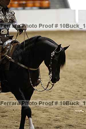 Proof 10buck_1481