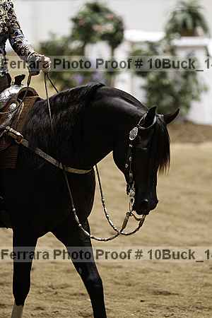 Proof 10buck_1482