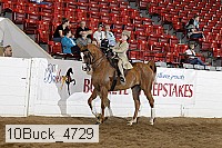 10buck_4729 proof