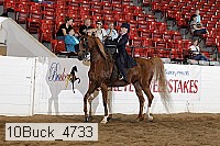 10buck_4733 proof