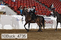 10buck_4735 proof