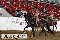 10buck_4747 proof