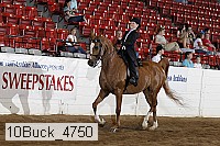 10buck_4750 proof