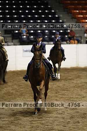 Proof 10buck_4758