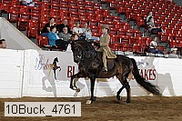 10buck_4761 proof